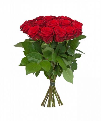 15 красных роз - купить с доставкой по Энергетику