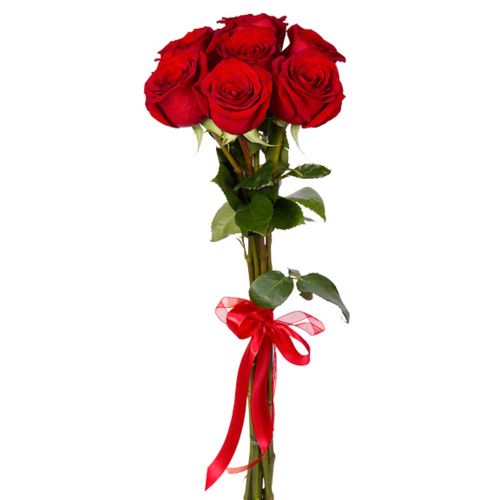 Купить 7 красных роз с доставкой по Энергетику